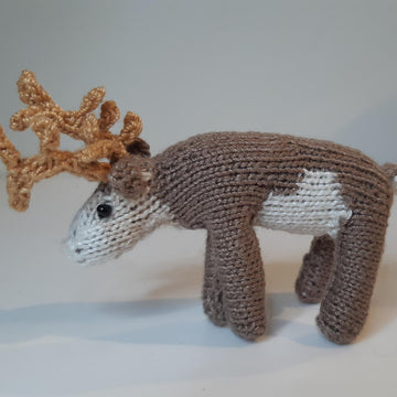 Arctic Animals