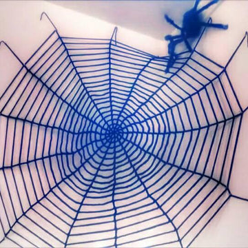 Halloween Spiderweb and Spider