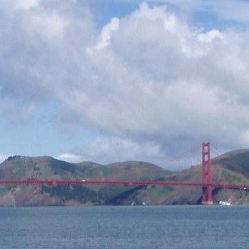 Suspension Slouch