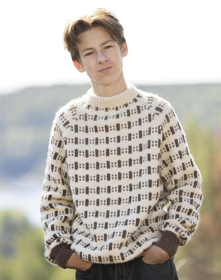Eddi Sweater in Viking Garn Viking Wool - Downloadable PDF