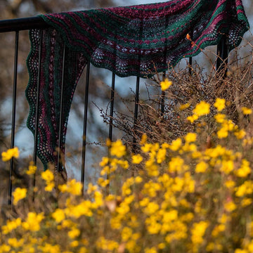 Dandelion Stitch Sampler Shawl