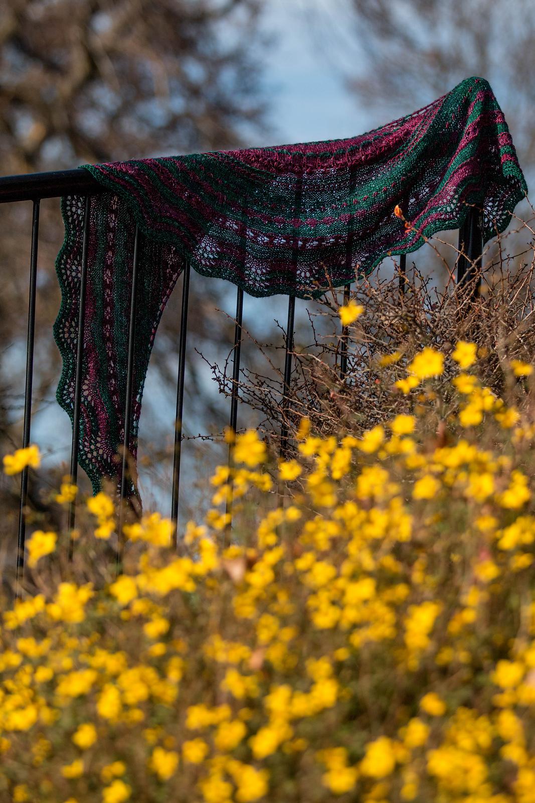 Dandelion Stitch Sampler Shawl