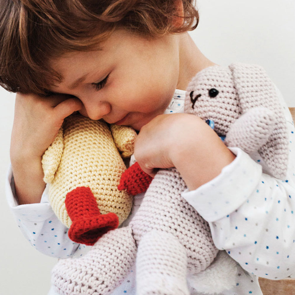 Fido, Flopsy & Quack Ebook - Toys Crochet Patterns for Children by Debbie Bliss