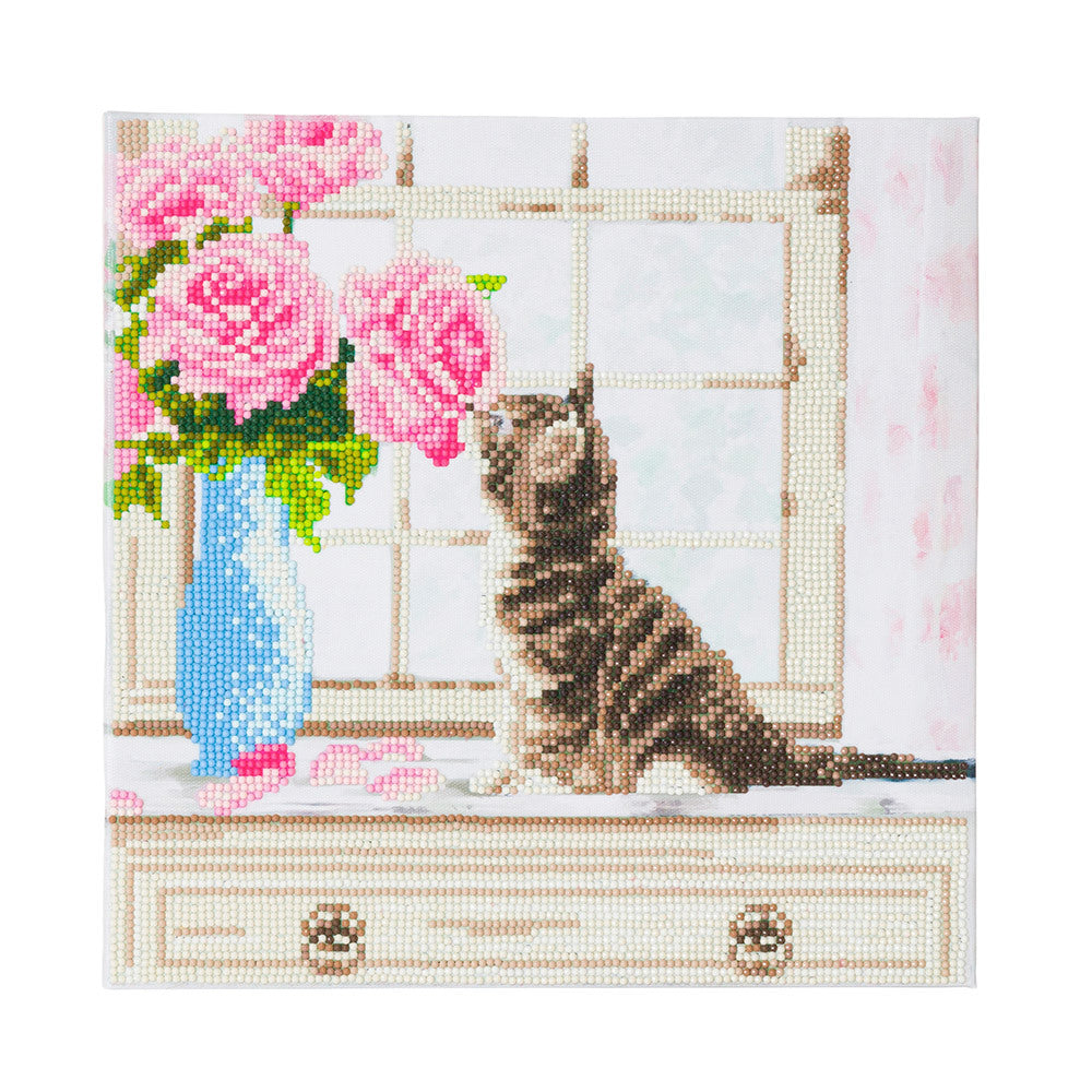 Crystal Art Cat, 30x30cm  Diamond Painting Kit