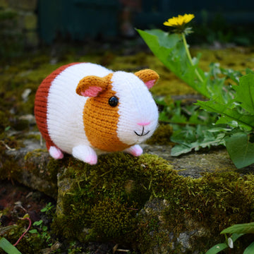 Gordon the Guinea Pig