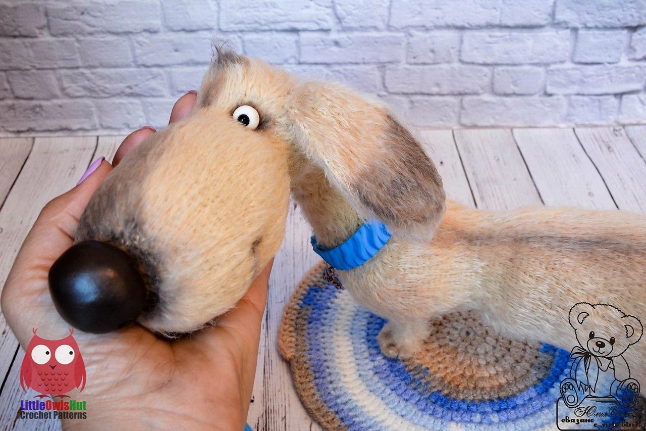 170 Dog Dachshund Coconut