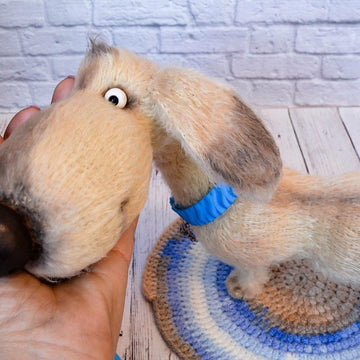 170 Dog Dachshund Coconut