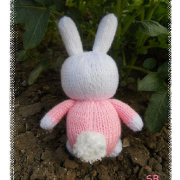 Hello Bunny