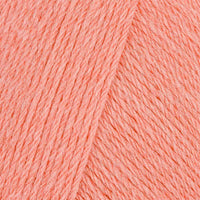 Coral Punch (505)