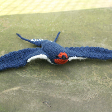 Soaring Swallow