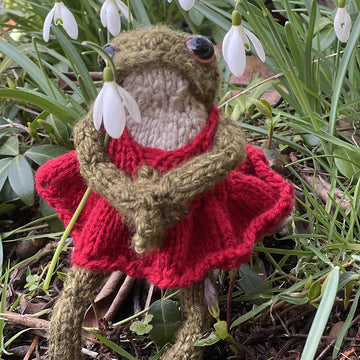 Pretty In Red Miniature Dress