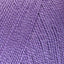 Lilac Bushes (30)