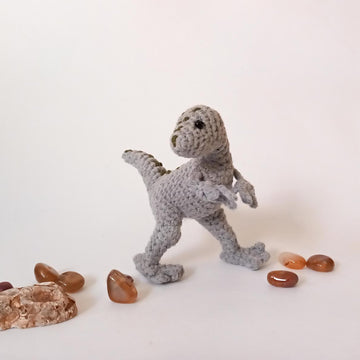 Velociraptor Dinosaurs