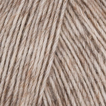 Camel Meliert (00020)