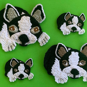 Boston Terrier