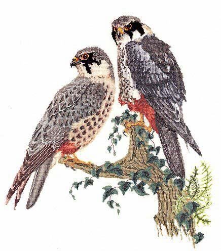 Thea Gouverneur Bv Falcons Cross Stitch Kit - 48cm x 60cm