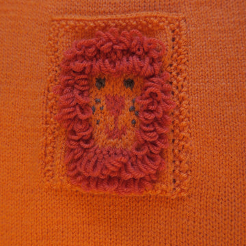 Lion Hooded Baby Car Seat Blanket