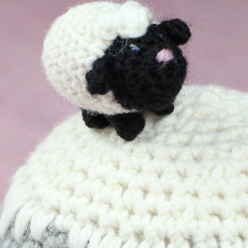 Little sheep
