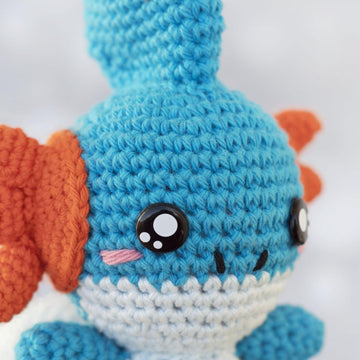Starter Pokemon Hoenn