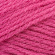 Raspberry (588)