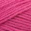 Raspberry (588)