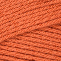 Pumpkin (53630)