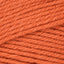 Pumpkin (53630)