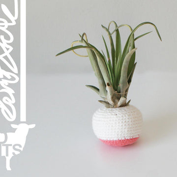 Geometric Air Planters (2015007)