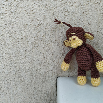 Zazy the Monkey