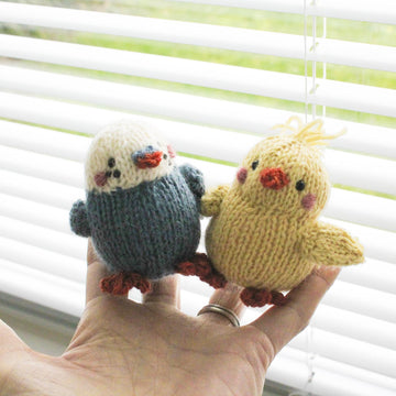 Mini Parakeets