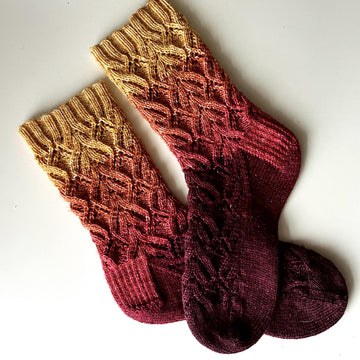 Asterales Socks