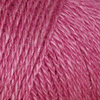 Bayberry (4529)
