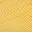 Golden Glow (011)