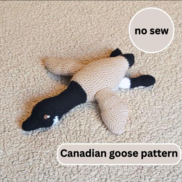 Canadian goose