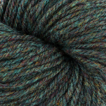 Lichen