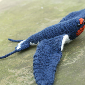 Soaring Swallow