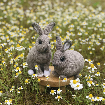 Two rabbits
