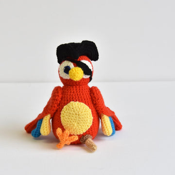 Pirate Parrot