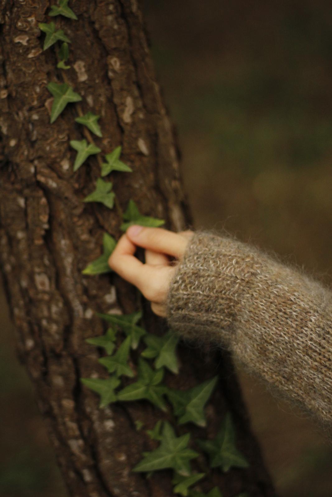 The Hood
