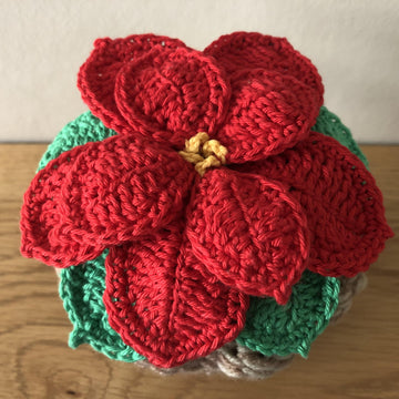 Poinsettia and Pot
