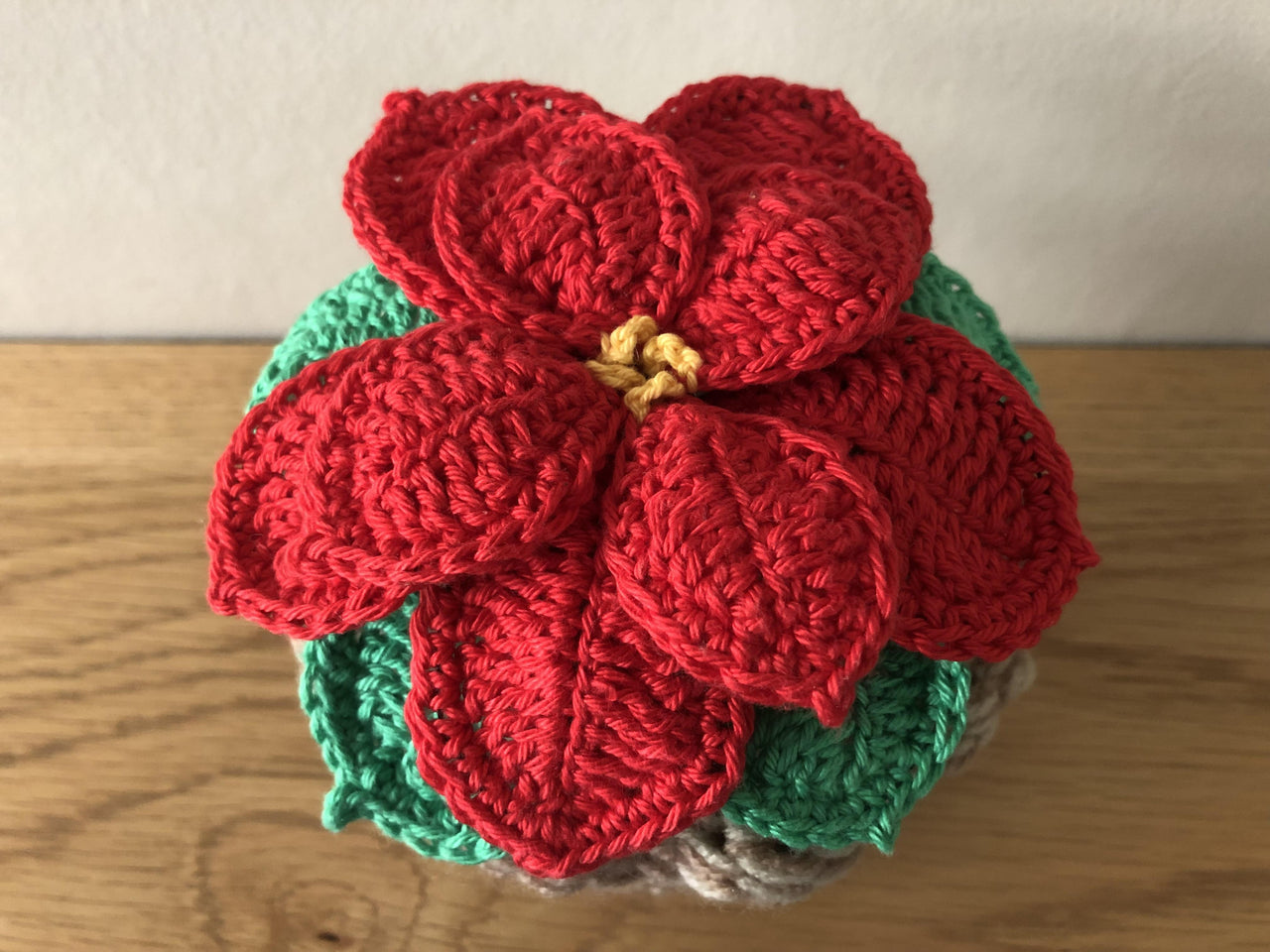 Poinsettia and Pot