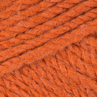 Pumpkin (5208)
