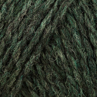 Conifer (0336)
