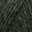 Conifer (0336)
