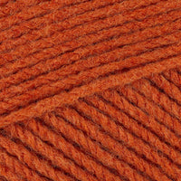 Pumpkin (0157)