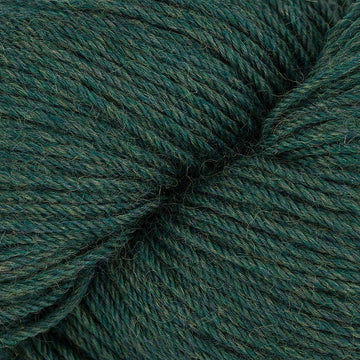 Coop Knits Socks Yeah!