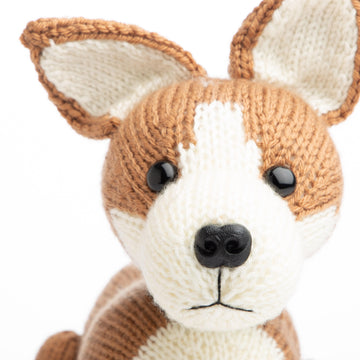 Pembroke Welsh Corgi in Deramores Studio DK - Downloadable PDF