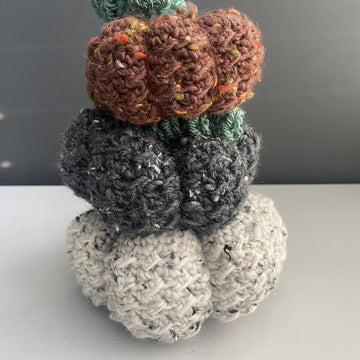 Crunchella Pumpkin