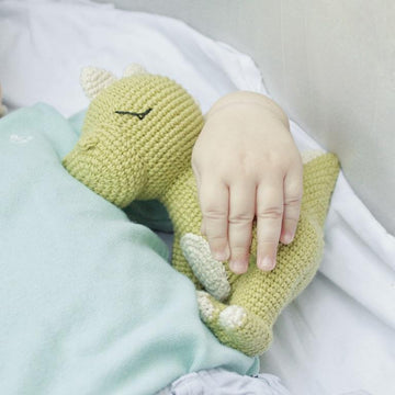 Crochet dinosaur amigurumi pattern toy