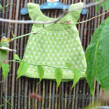 Baby Daisy Dress